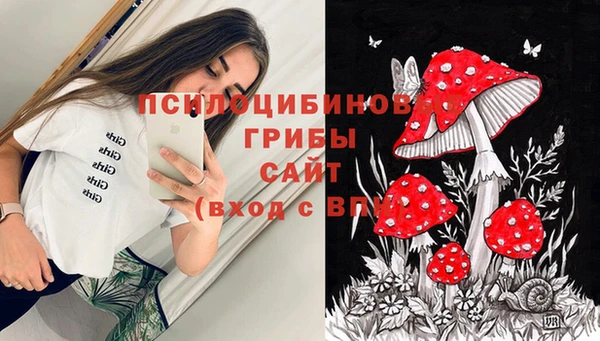 каннабис Алексин