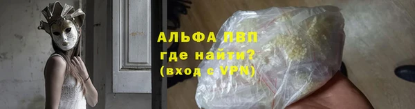 гашик Карпинск