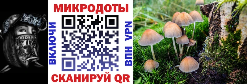 купить наркотик  Северская  Псилоцибиновые грибы мухоморы 